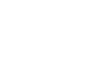 Rybaleov Studio